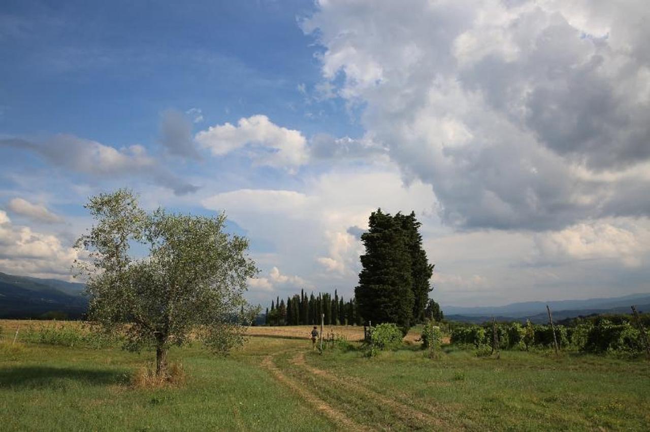 Villa Francesca Rignano sullʼArno Exterior foto